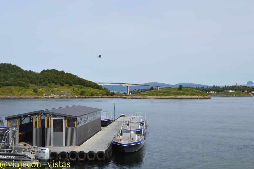 excursion saltstraumen