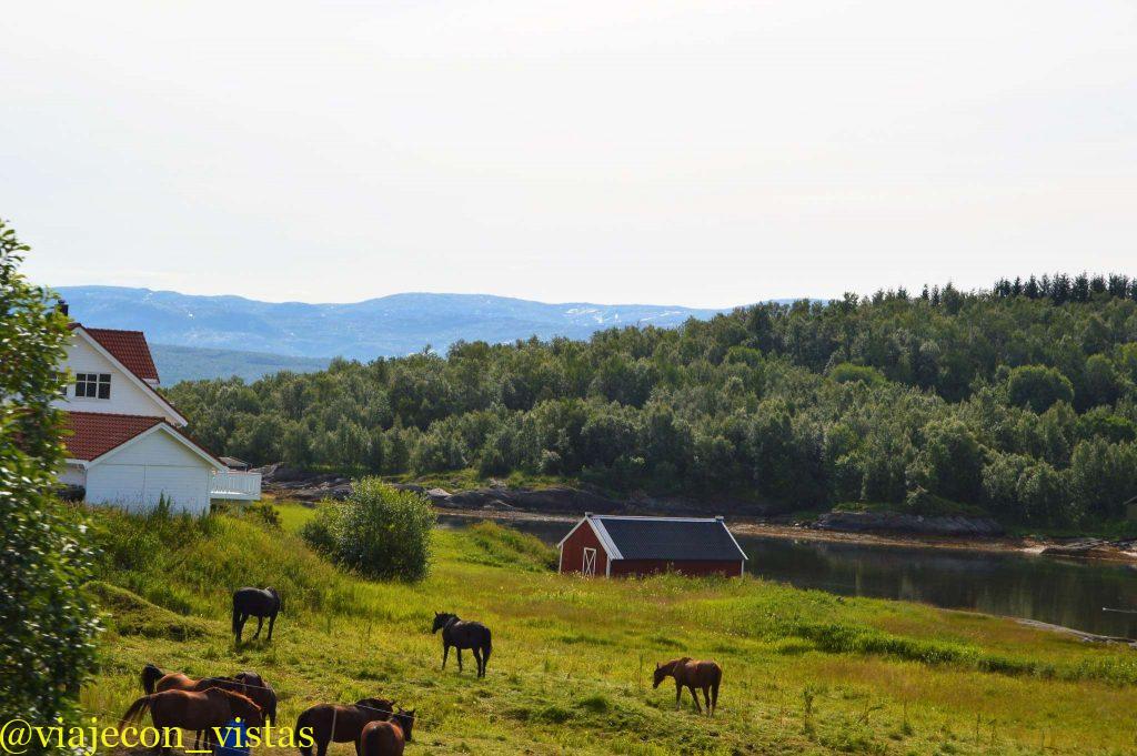 las granjas tambien forman parte de los paisajes del norte de noruega
