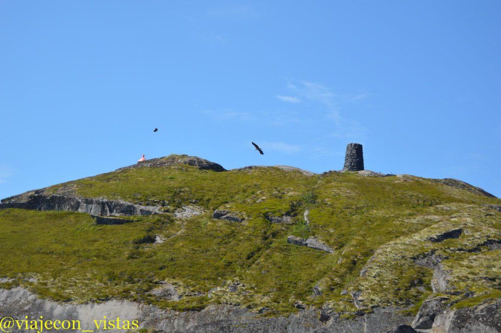 reserva de aguilas marinas en las islas lofoten