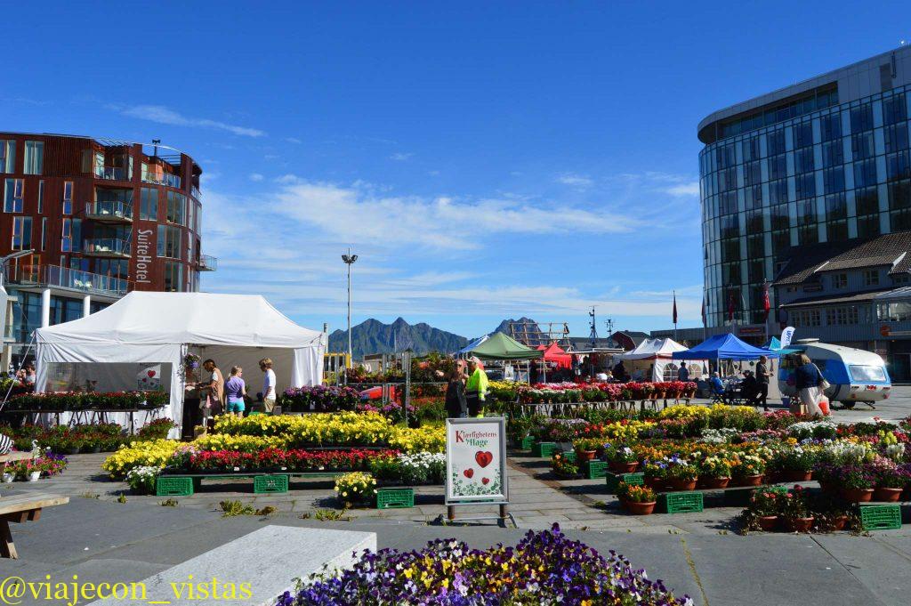 mercado de las flores Svolvær islas lofoten