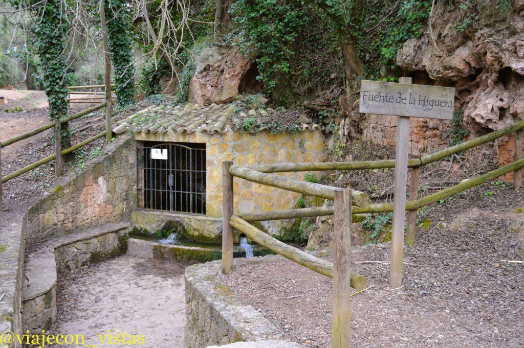 fuente de la higuera canal de navarres