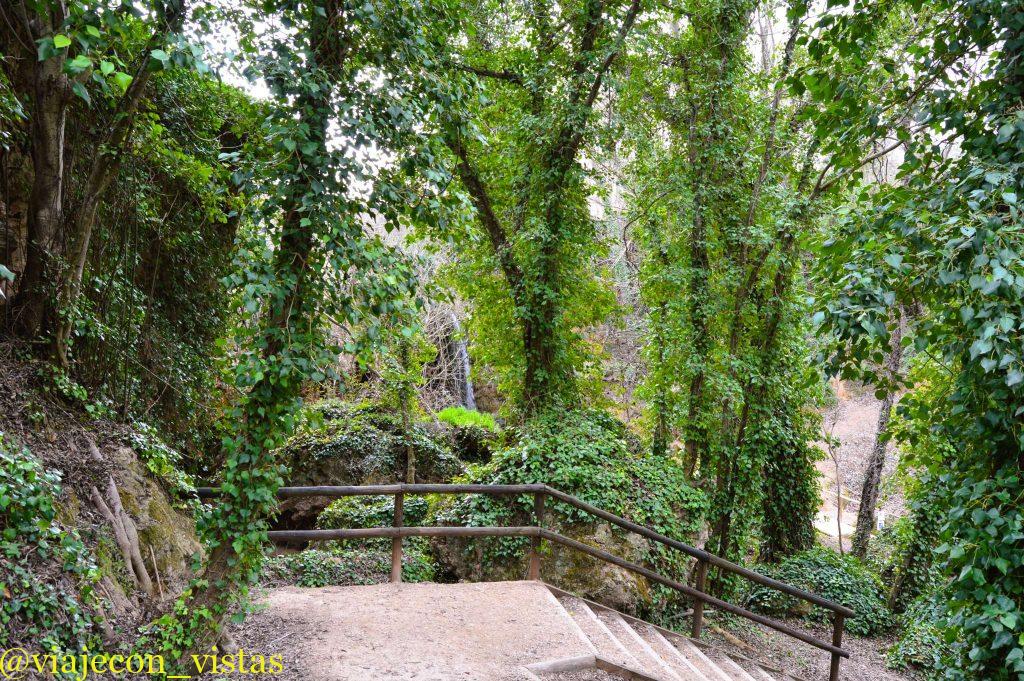 bosque mediterraneo
