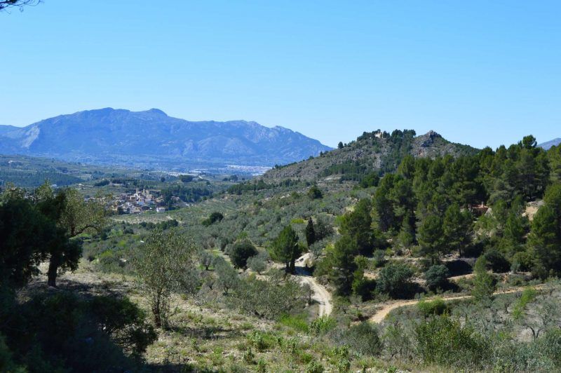 cerro de la ermita de planes