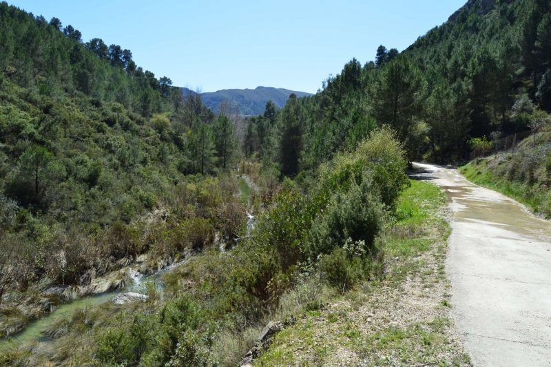 belleza natural en el barranco de la encantada