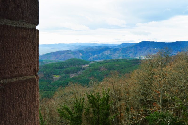 los bosgos francia