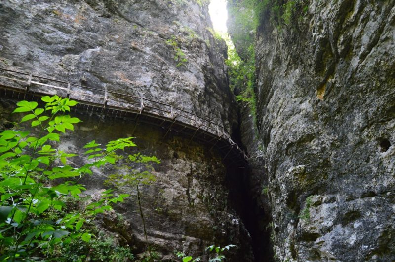 pokljuka gorge