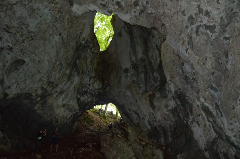 pokljuka cove