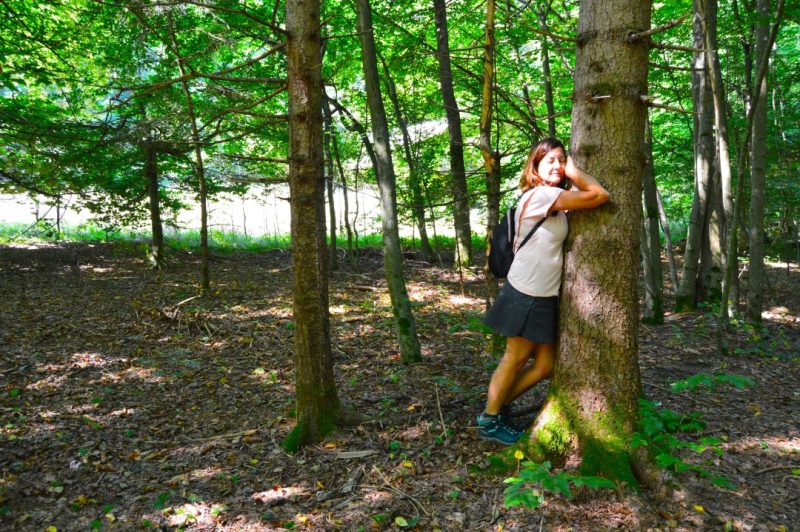 bosque radovna eslovenia