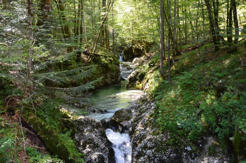 korita mostnice stara fuzina