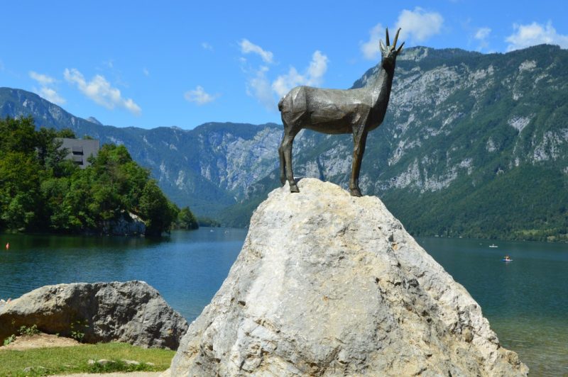 zlatorog bohinj eslovenia