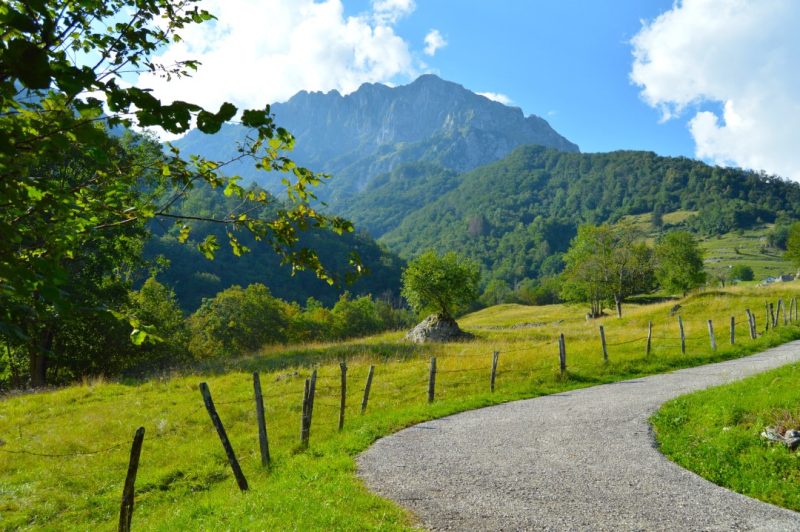 javorca valley alpes julianos