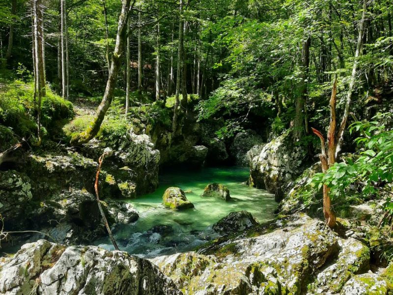 reserva natural valle de voje eslovenia