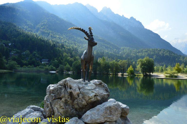 kozorog lago jasna