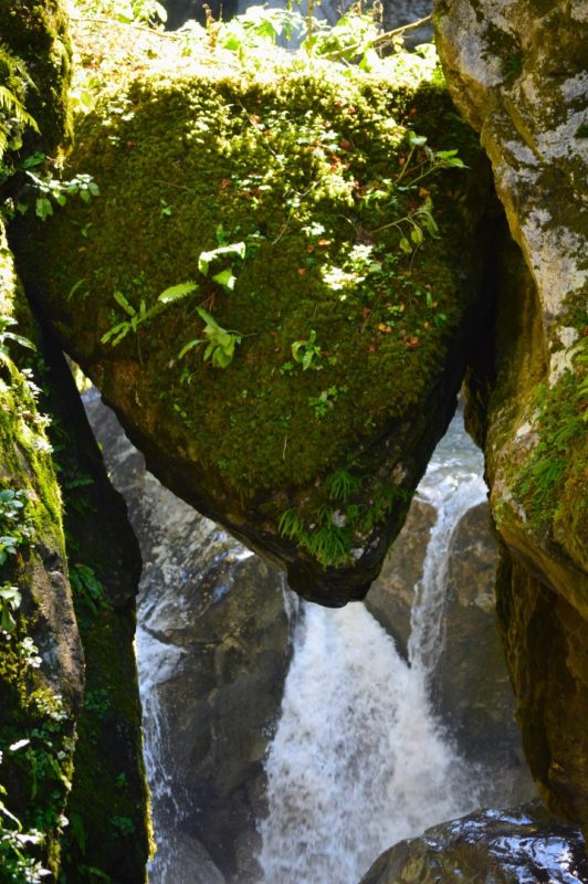 cabeza de oso tolmin gorge