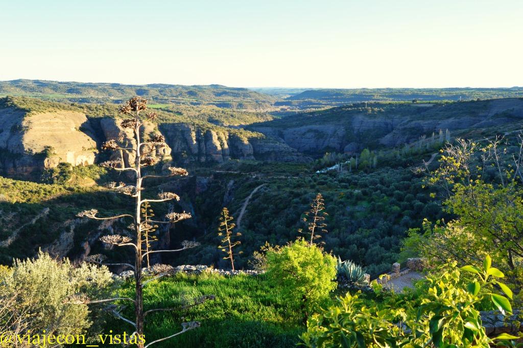 mirador o vicon