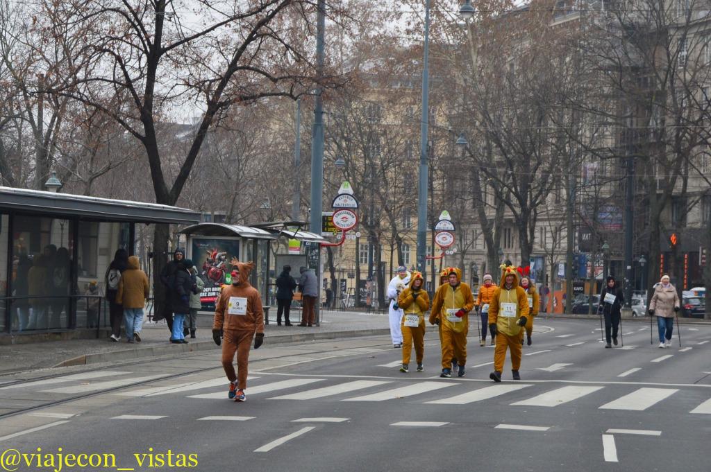 carrera de san silvestre fin de año en viena